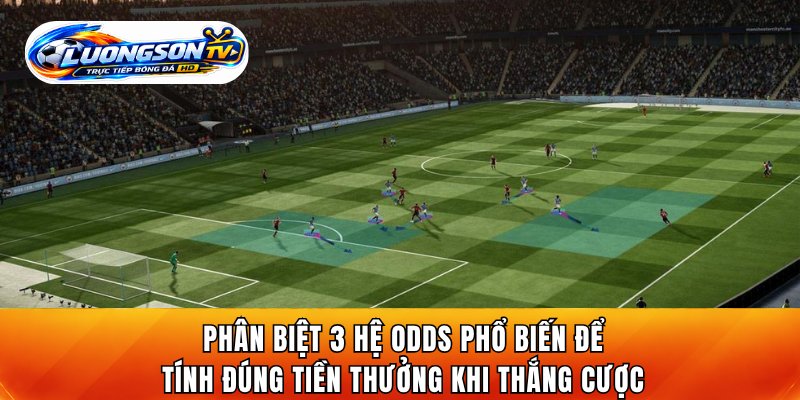 Phân biệt 3 hệ odds phổ biến để tính đúng tiền thưởng khi thắng cược